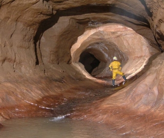  Lo que nunca se sabe estaba ahí abajo